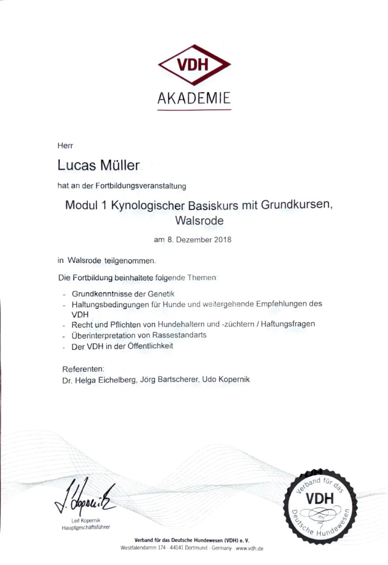 Úplné osvědčení VDH-Akademie o absolvování modulu 1, základního kynologického kurzu