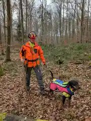 Bartosz vom Pauelsgraben with his handler in the forest